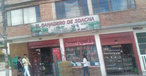 EL GANADERO DE SOACHA VERACRUZ EL GANADERO DE SOACHA VERACRUZ